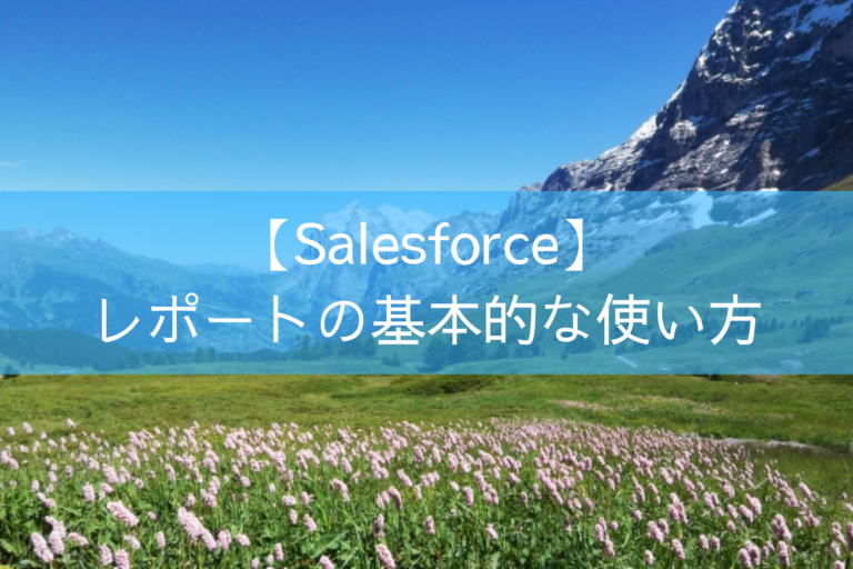 【Salesforce】レポートの基本的な使い方