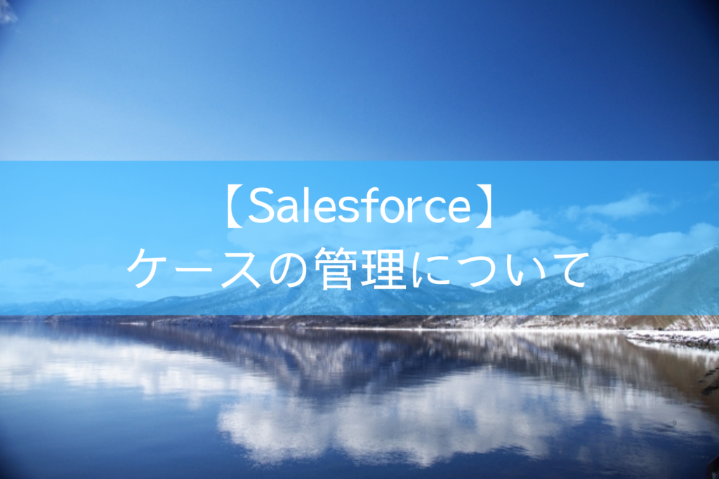 【Salesforce】ケースの管理について