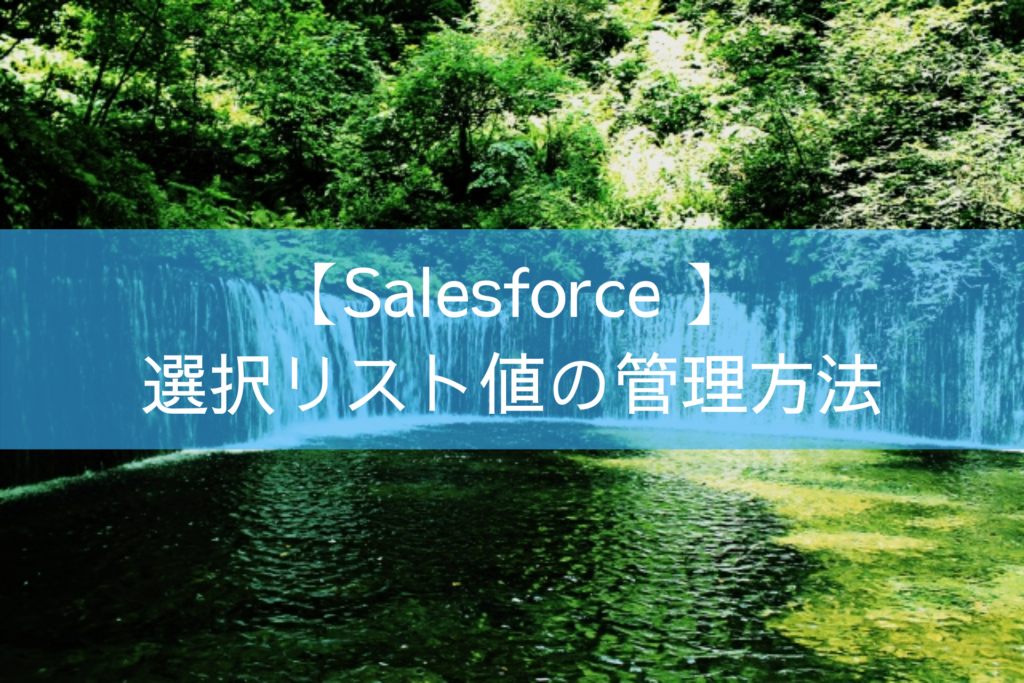 【Salesforce 】選択リスト値の管理方法