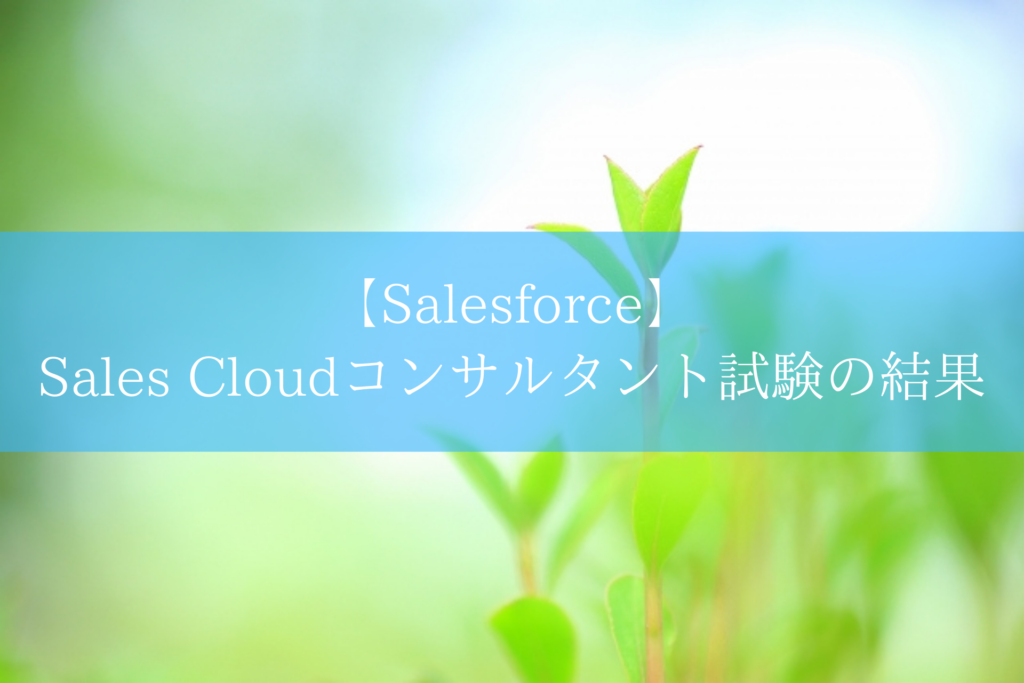 【Salesforce】Sales Cloudコンサルタント試験の結果