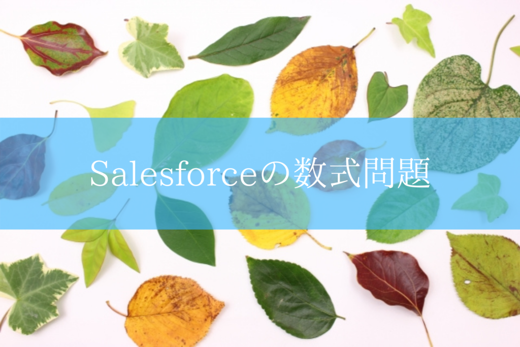 Salesforceの数式