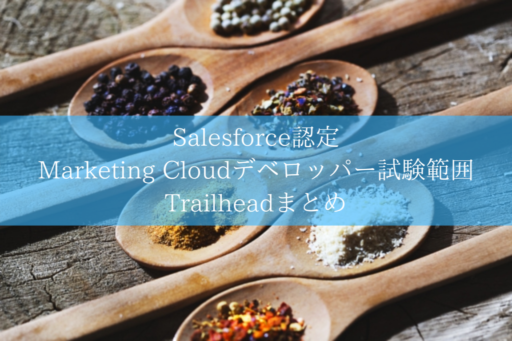 Salesforce Marketing Cloudデベロッパー 試験対策想定問題集