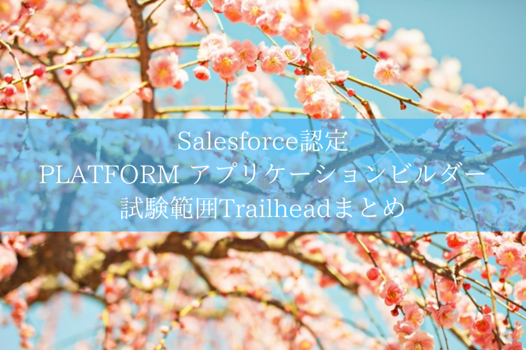 Salesforce認定 PLATFORM アプリケーションビルダー試験範囲Trailheadまとめ
