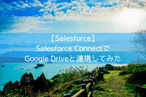 Salesforce Connect