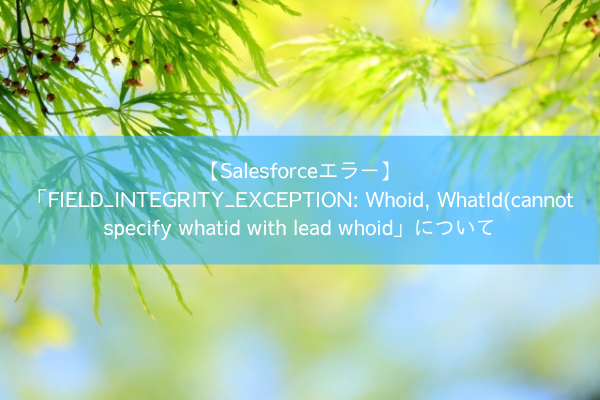 【Salesforceエラー】「FIELD_INTEGRITY_EXCEPTION Whoid, WhatId(cannot specify whatid with lead whoid」について