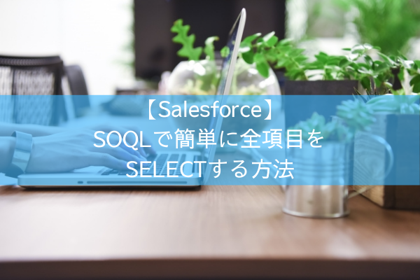 【Salesforce】SOQLで簡単に全項目を SELECTする方法